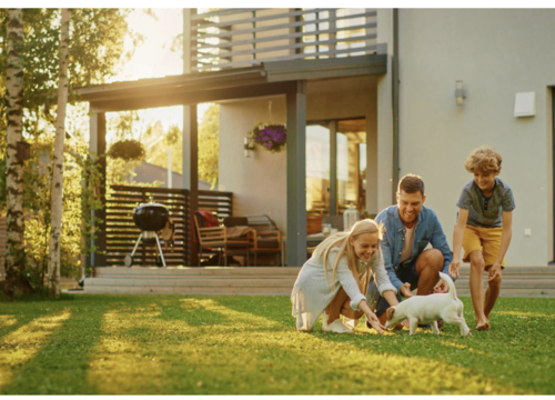 Screenshot 2025-03-19 at 4.39.27 PM