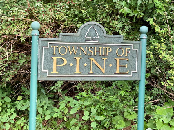 Pine Township