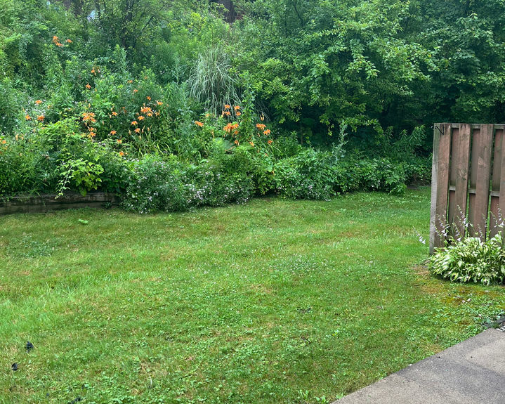 Yard_2_Edited