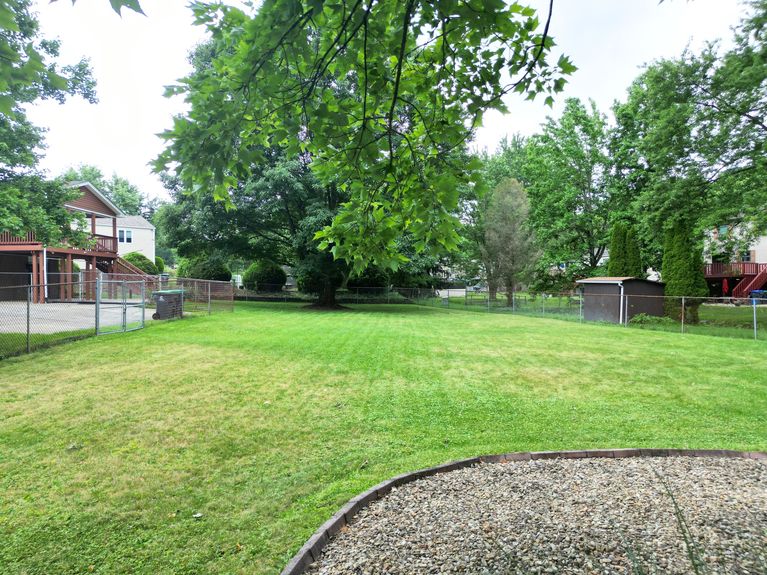 Yard1_313_Meadow