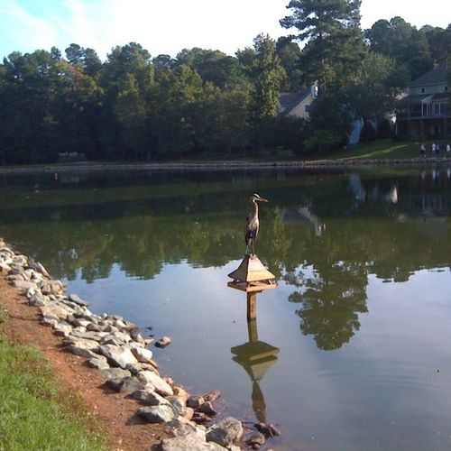 Lochmere Cary NC Neighborhood Guide | Homes, Parks, Lakes, and Market Insights