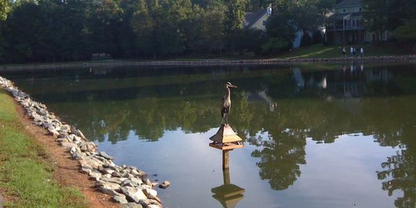 Lochmere Cary NC Neighborhood Guide | Homes, Parks, &hellip;