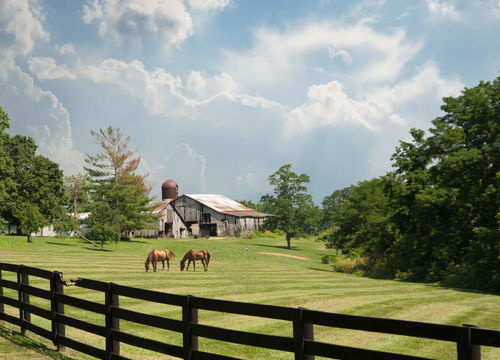 shutterstock_81346321 (1)