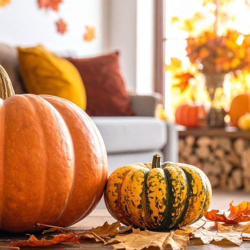 DIY Fall Crafts: Making Your Home Feel Cozy and Festive