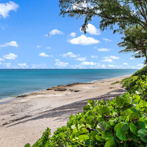 Discover the Best Beaches in Jupiter, Florida: A Local’s Guide