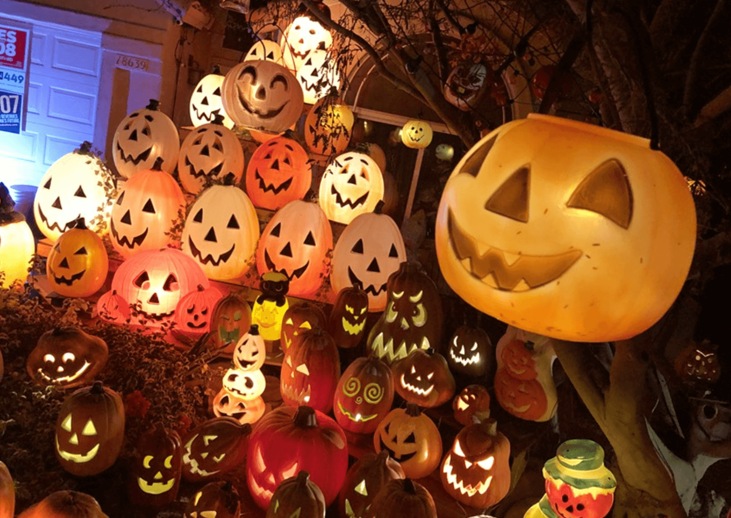 Screen Shot 2024-10-28 at 12.51.35 PM