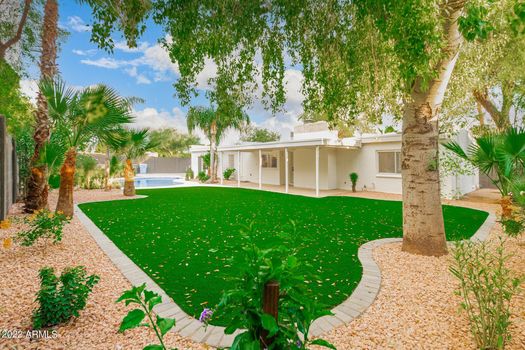 06 6748 E DREYFUS AVE_yard