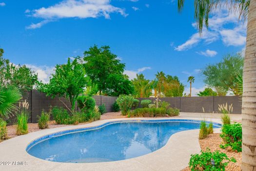 09 6748 E DREYFUS AVE_pool 2