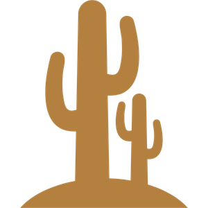 ICON-Years-in-Phoenix