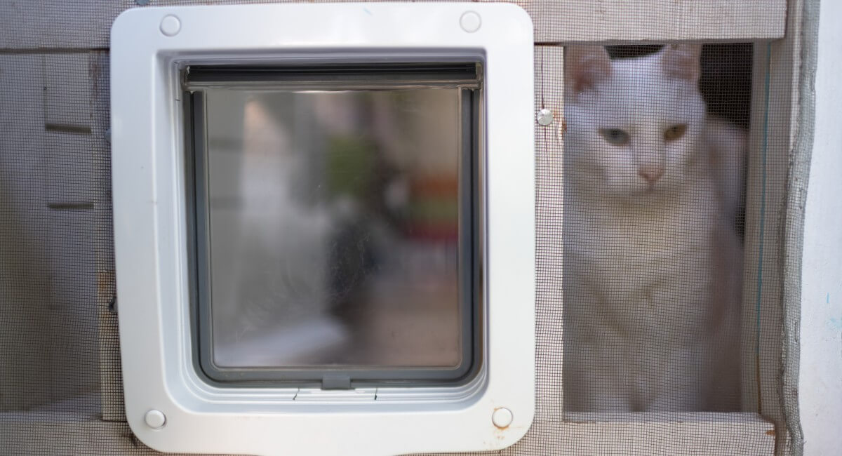Pet Doors