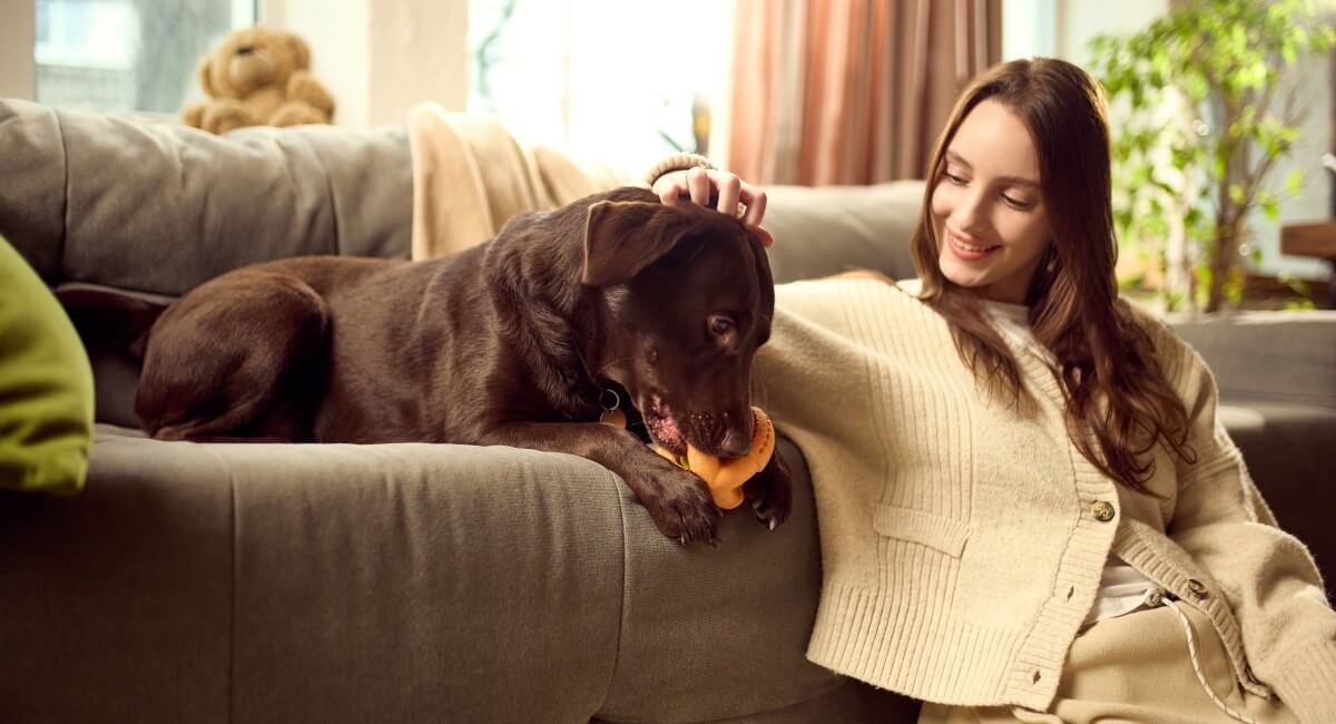 Pet-Friendliness: An Often Overlooked Element of Real Estate