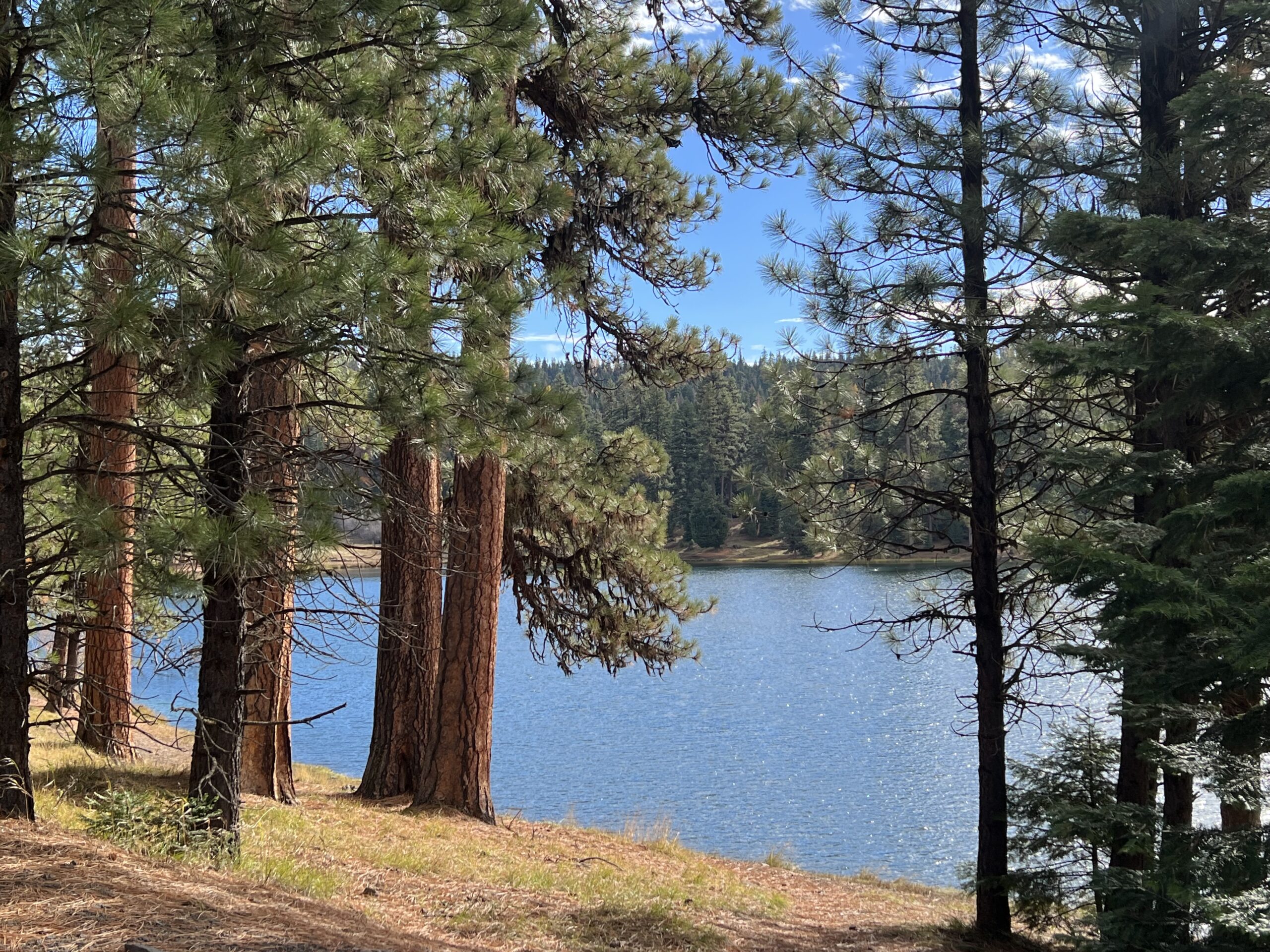 Discover the Beauty of Walton Lake: Central Oregon's Hidden Gem ...