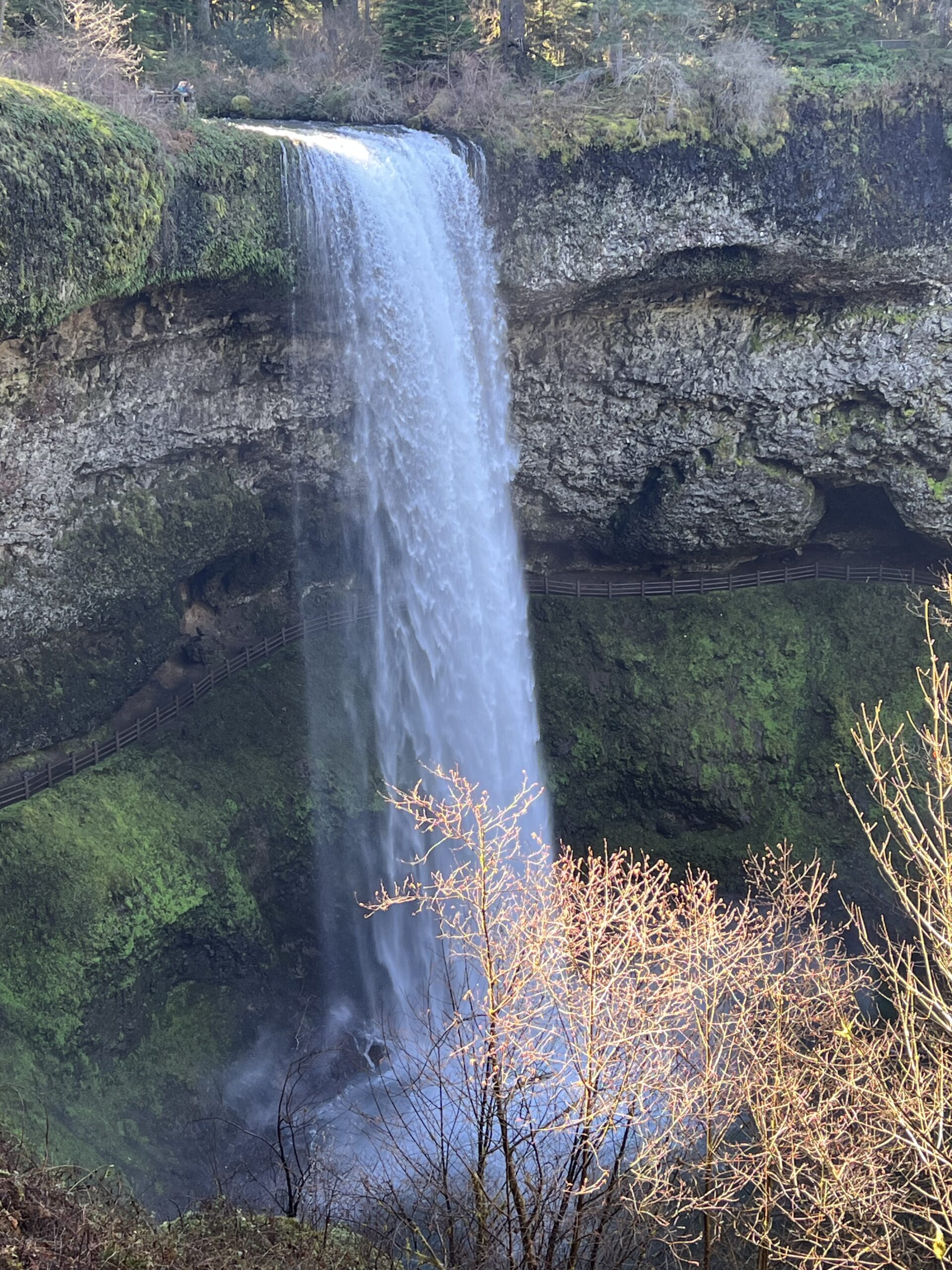 Silver Falls in Oregon with Strategic Realty, LLC