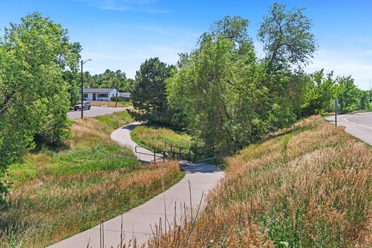 38-web-or-mls-DSC_7149