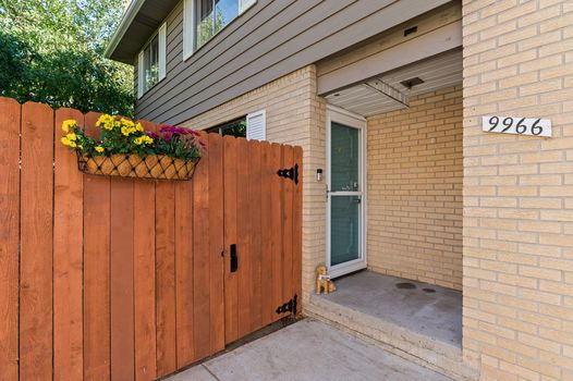 14-web-or-mls-DSC_7917