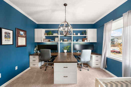 3-web-or-mls-IMG_4737