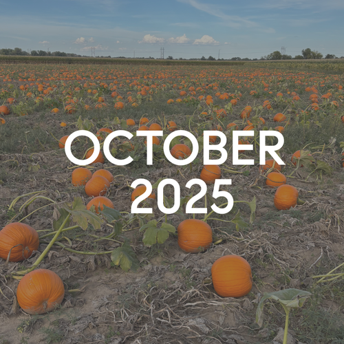 October Denver Market Update