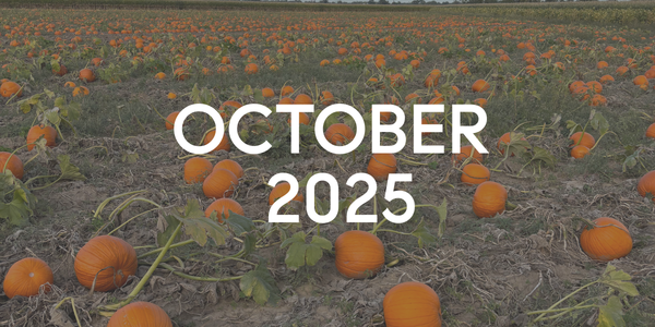 October Denver Market Update