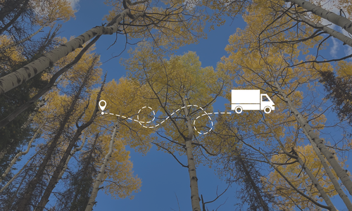 Real Estate Agent for Chicago to Denver Relocation