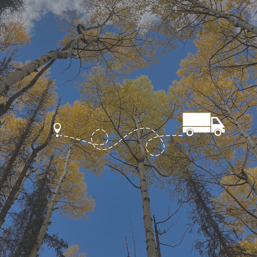 Real Estate Agent for Chicago to Denver Relocation