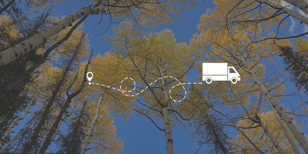 Real Estate Agent for Chicago to Denver Relocation