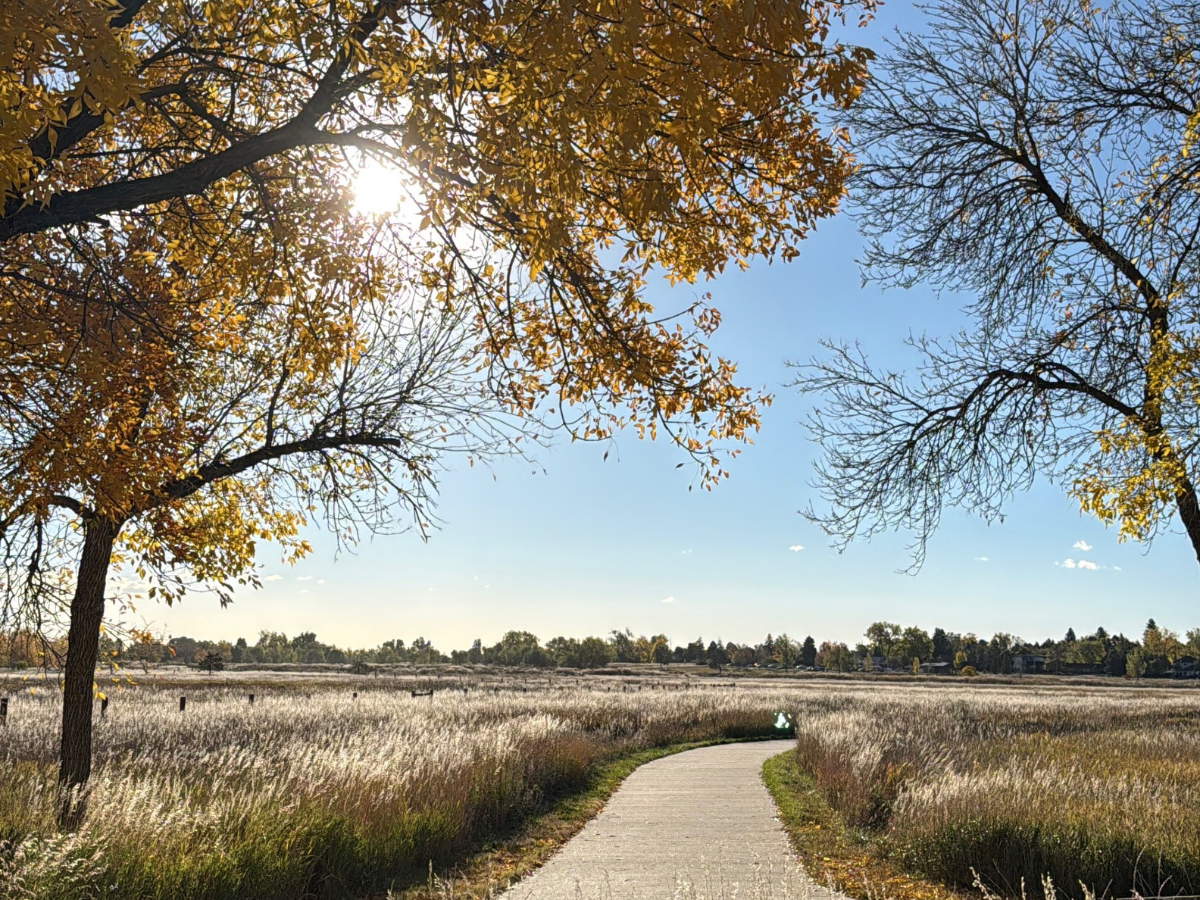 Top Wheat Ridge Realtors, Jason Sirois Wheat Ridge Realtor, FORM Denver, Top Denver Realtor, Applewood Realtor, best Wheat Ridge Realtors 2025 3