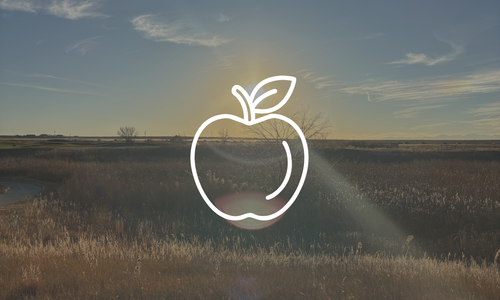 Applewood Colorado March Market Update