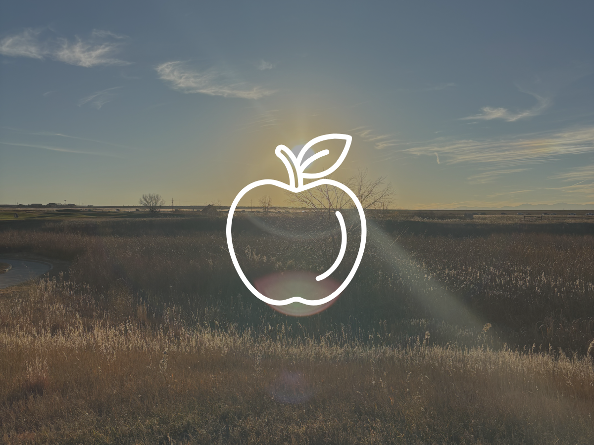 Applewood Colorado March market update, Jason Sirois Applewood Realtor, FORM Denver, Top Denver Realtor, Wheat Ridge real estate agent, Applewood homes for sale market trends 1