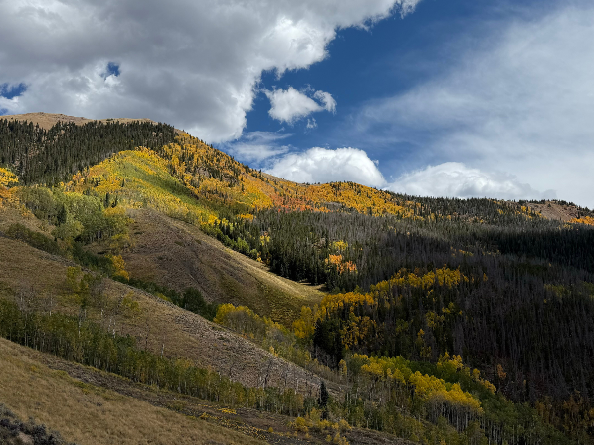 Golden Colorado real estate, Golden hiking trails, foothills homes Denver, Jason Sirois Denver Realtor, FORM at Compass Denver 4