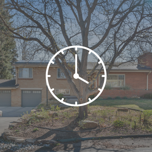 Is Now a Good Time to Buy a Home in Denver?