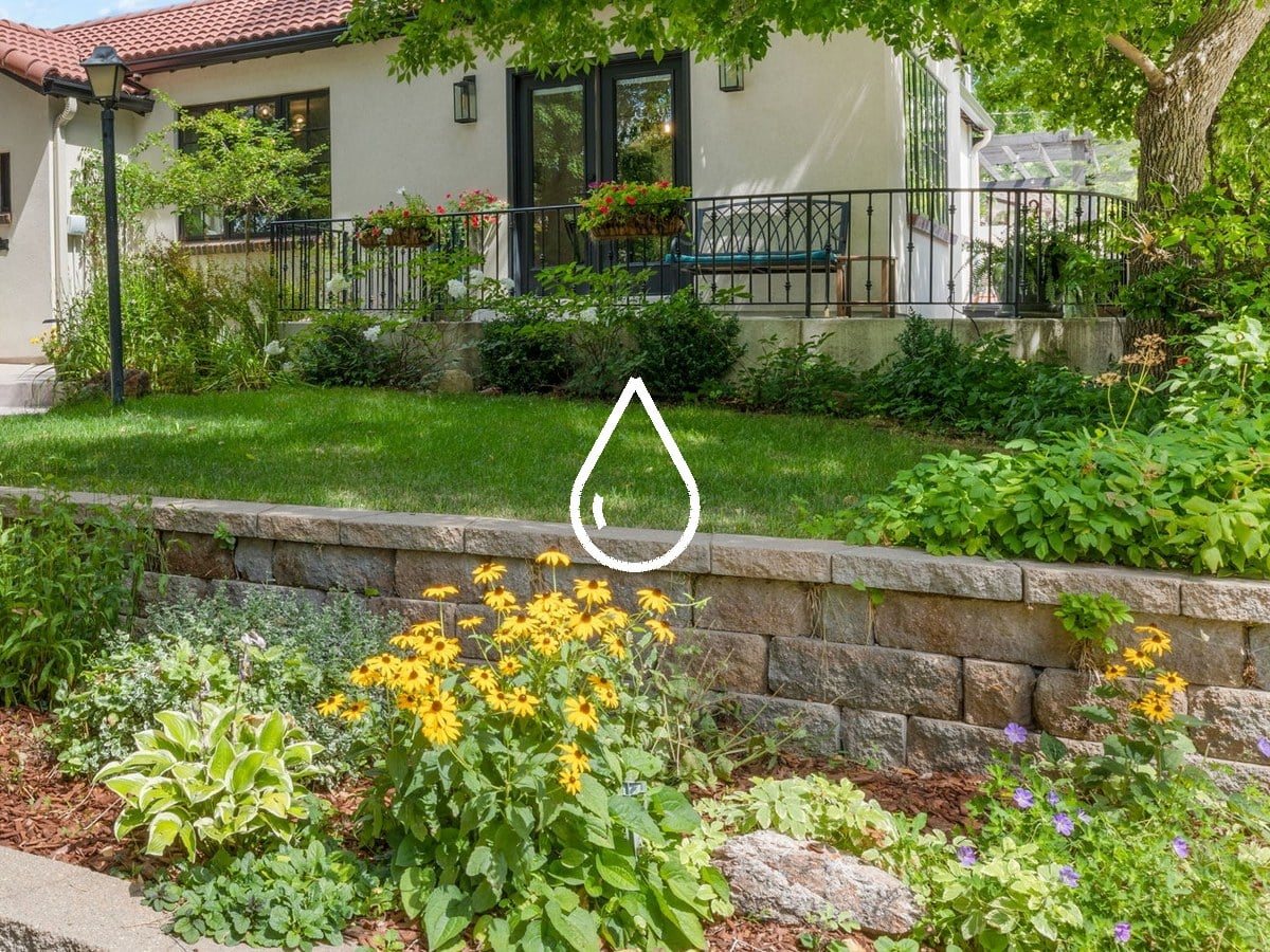 Front lawn above a stone retaining wall planted with black-eyed Susans, hostas and perennials