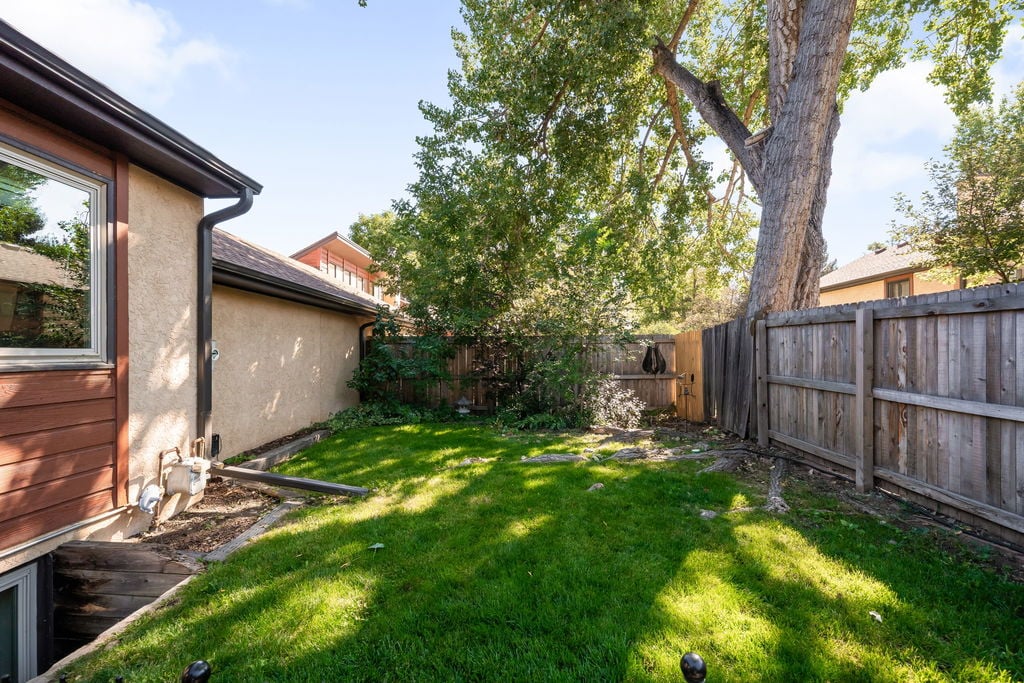 Fenced side yard with a mature cottonwood at a Wheat Ridge, Colorado home
