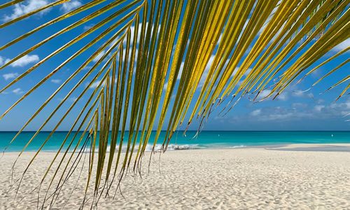 Staurt FL Real Estate Update for August 20…