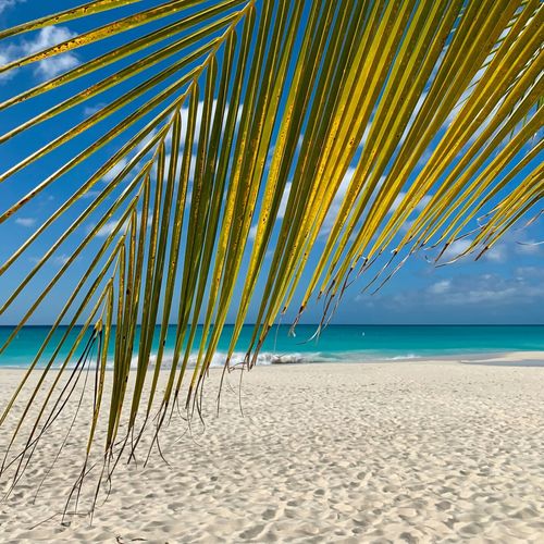 Staurt FL Real Estate Update for August 2025