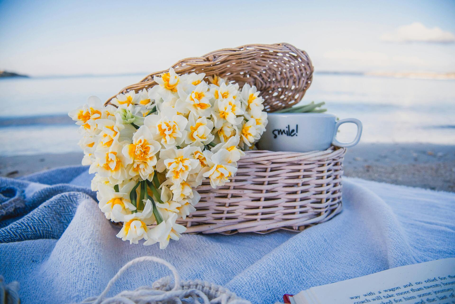 pexels-helloaesthe-15693539 (1)