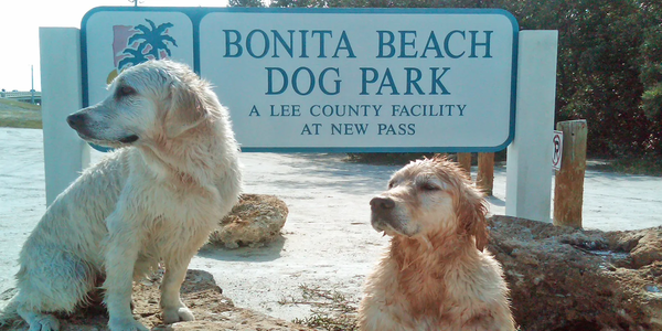 BonitaSpringsDogBeach