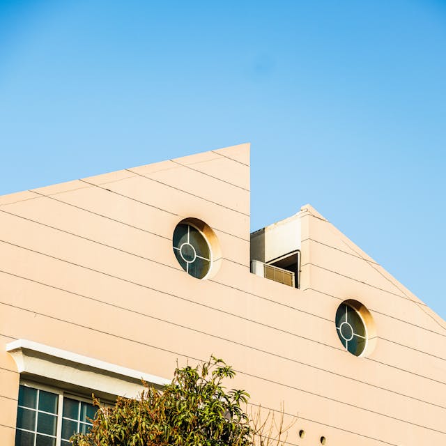 pexels-aboodi-31215834