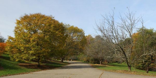 South End Brownstones: When to Renovate Before Selling …