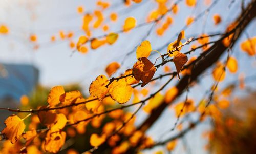 Selling Luxury Homes in Boston: Fall Season Guide &hellip;