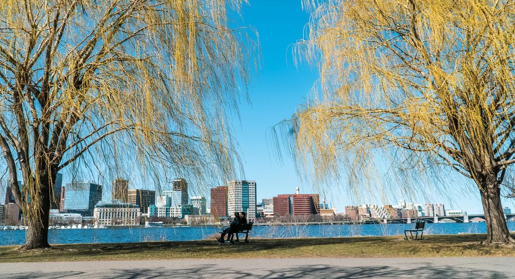 pexels-vsezini-11566312