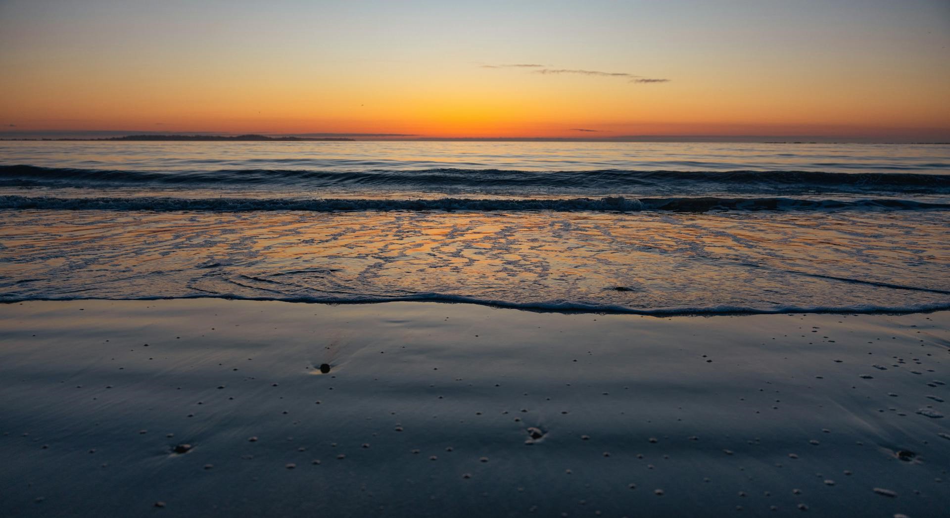 pexels-philevenphotos-20654484