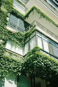 alp-duran-cKotsfq7n60-unsplash