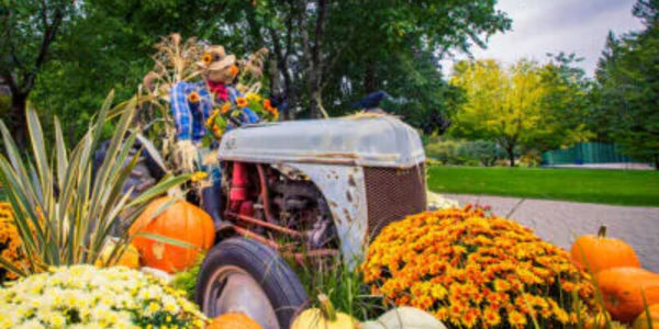 "Fall" In Love With Philly - Part 2