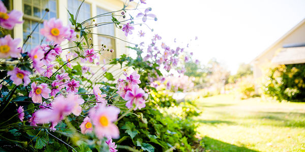 Homebuyer Activity Shows Signs of Warming Up for …