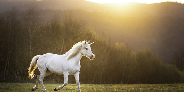 Today’s Real Estate Market: The ‘Unicorns’ Have Galloped …