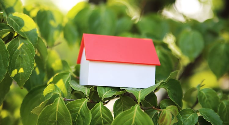 Model house on leaves