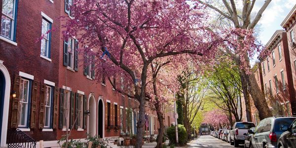 Best Realtor in Fairmount Philadelphia (2026 Guide)