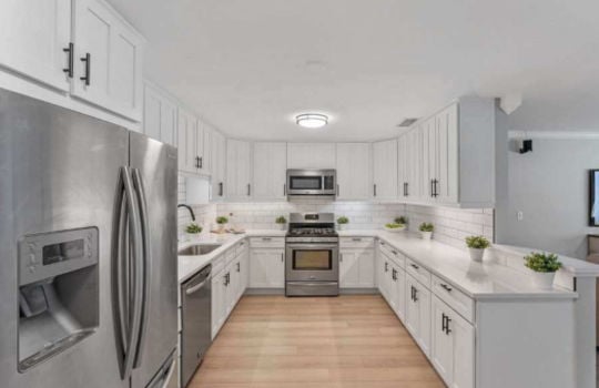 a743a47c-kitchen-remodel-after_10p00go00000000000001o 1