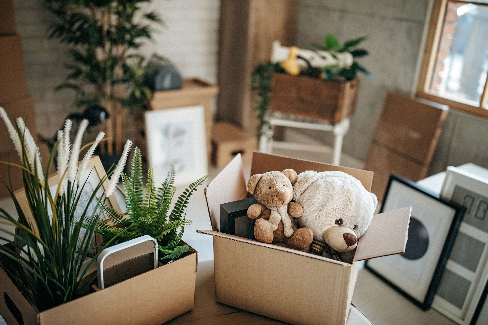 The Ultimate Relocation Guide