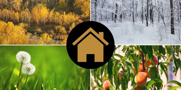 How Seasons Impact the Housing Market
